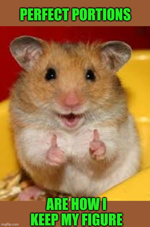 Thumbs up hamster  | PERFECT PORTIONS ARE HOW I KEEP MY FIGURE | image tagged in thumbs up hamster | made w/ Imgflip meme maker
