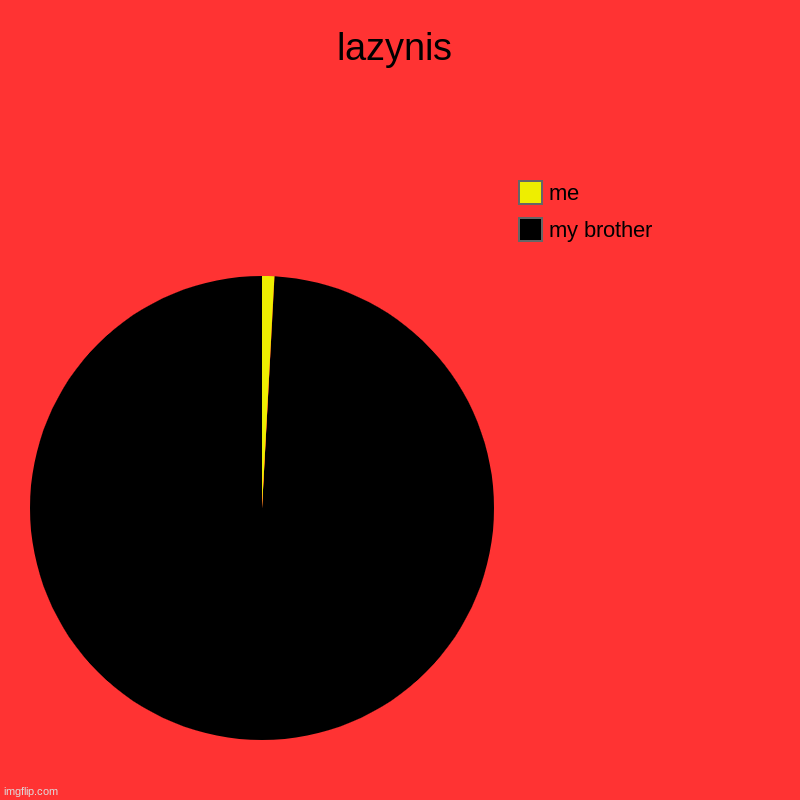 lazynis | my brother, me | image tagged in charts,pie charts | made w/ Imgflip chart maker