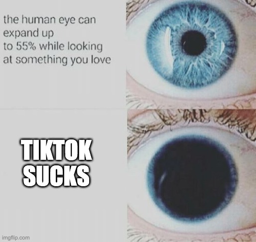 Eye pupil expand | TIKTOK SUCKS | image tagged in eye pupil expand | made w/ Imgflip meme maker