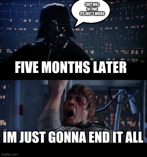 Star Wars No | THEY WILL BE FINE ITS JUST 2 WEEKS; FIVE MONTHS LATER; IM JUST GONNA END IT ALL | image tagged in memes,star wars no | made w/ Imgflip meme maker