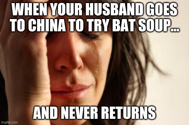 First World Problems Meme | WHEN YOUR HUSBAND GOES TO CHINA TO TRY BAT SOUP... AND NEVER RETURNS | image tagged in memes,first world problems | made w/ Imgflip meme maker