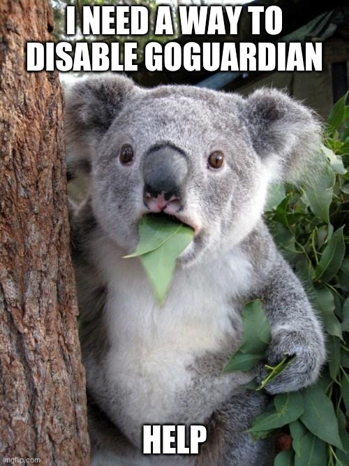 Surprised Koala | I NEED A WAY TO DISABLE GOGUARDIAN; HELP | image tagged in memes,surprised koala | made w/ Imgflip meme maker