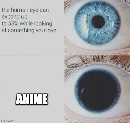 Eye pupil expand | ANIME | image tagged in eye pupil expand | made w/ Imgflip meme maker
