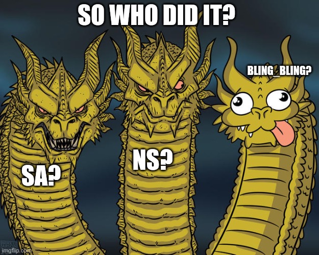 Three-headed Dragon | SO WHO DID IT? BLING_BLING? NS? SA? | image tagged in three-headed dragon | made w/ Imgflip meme maker