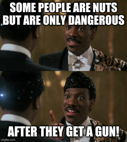 How decisions are made | SOME PEOPLE ARE NUTS BUT ARE ONLY DANGEROUS AFTER THEY GET A GUN! | image tagged in how decisions are made | made w/ Imgflip meme maker