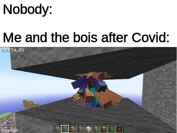 Unsocial distancing | Nobody:

 
Me and the bois after Covid: | image tagged in minecraft | made w/ Imgflip meme maker