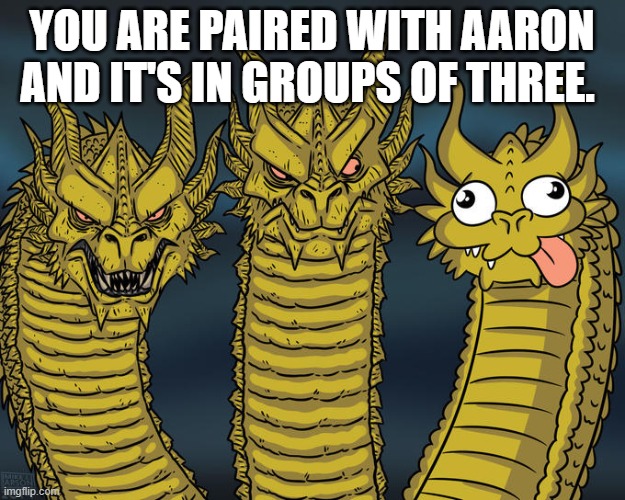 If you join, you should wait for another user to join as this project is in groups of three. | YOU ARE PAIRED WITH AARON AND IT'S IN GROUPS OF THREE. | image tagged in three-headed dragon | made w/ Imgflip meme maker