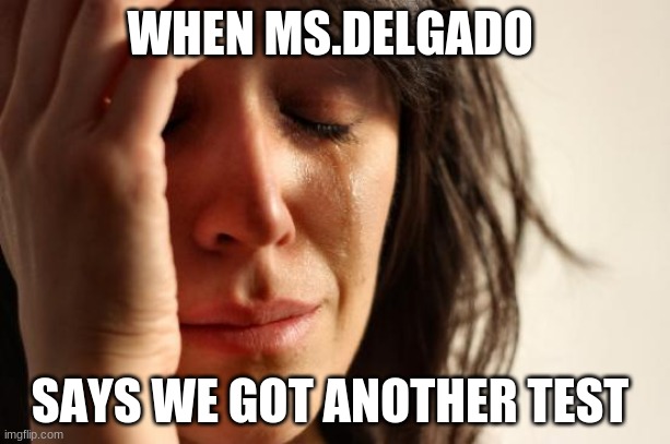 First World Problems | WHEN MS.DELGADO; SAYS WE GOT ANOTHER TEST | image tagged in memes,first world problems | made w/ Imgflip meme maker