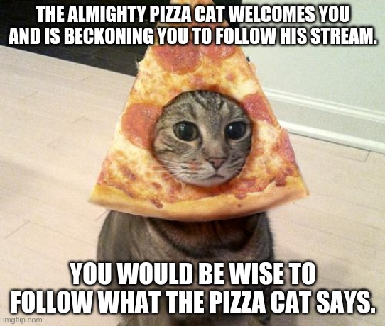 The pizza Cat Welcomes you, user. |  THE ALMIGHTY PIZZA CAT WELCOMES YOU AND IS BECKONING YOU TO FOLLOW HIS STREAM. YOU WOULD BE WISE TO FOLLOW WHAT THE PIZZA CAT SAYS. | image tagged in pizza cat | made w/ Imgflip meme maker