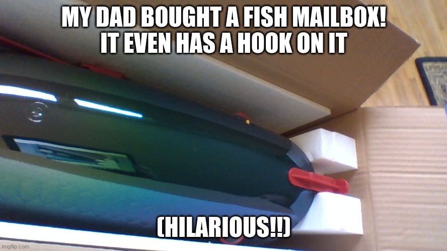 my dads fish mailbox | MY DAD BOUGHT A FISH MAILBOX!
IT EVEN HAS A HOOK ON IT; (HILARIOUS!!) | image tagged in fish,maibox,halarious | made w/ Imgflip meme maker