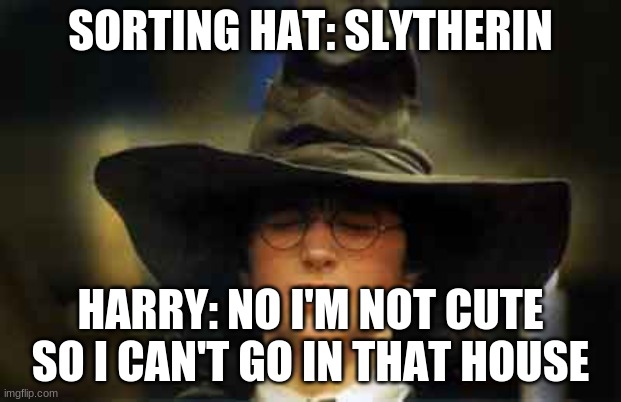 Harry Potter sorting hat | SORTING HAT: SLYTHERIN; HARRY: NO I'M NOT CUTE SO I CAN'T GO IN THAT HOUSE | image tagged in harry potter sorting hat | made w/ Imgflip meme maker