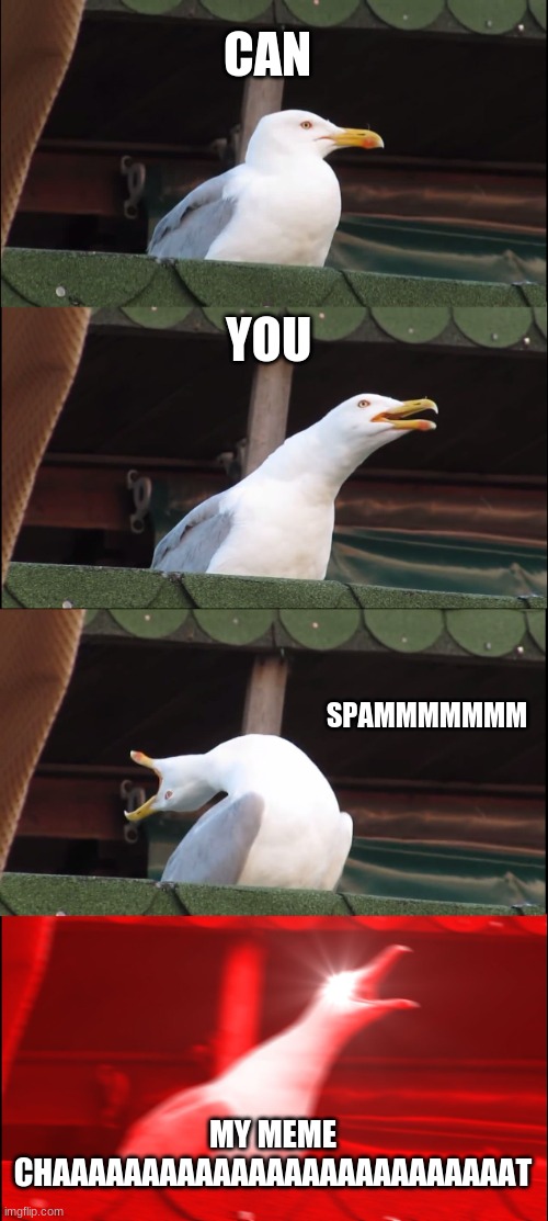 https://imgflip.com/memechat?invite=FBTwpuxSr4-uOiJDkBQk-xZIwyM0s1Jo | CAN; YOU; SPAMMMMMMM; MY MEME CHAAAAAAAAAAAAAAAAAAAAAAAAAAT | image tagged in memes,inhaling seagull | made w/ Imgflip meme maker