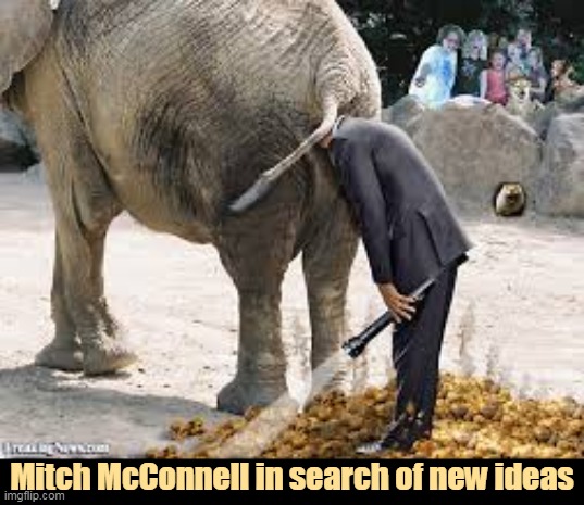 Is Kevin McCarthy in here? C'mon Kevin, I heard your phone go off. | Mitch McConnell in search of new ideas | image tagged in a republican in search of ideas - elephant flashlight,mitch mcconnell,republican,elephant | made w/ Imgflip meme maker