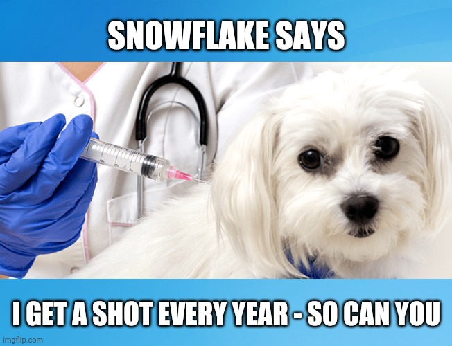 Snowflake Says | SNOWFLAKE SAYS; I GET A SHOT EVERY YEAR - SO CAN YOU | image tagged in snowflake,vaccines,covid 19,funny,ted cruz,dogs | made w/ Imgflip meme maker