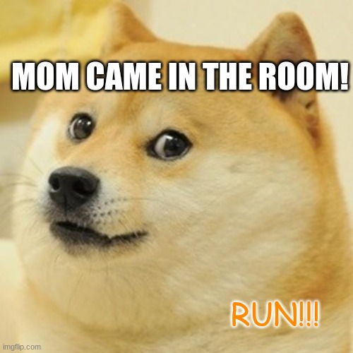 dogie | MOM CAME IN THE ROOM! RUN!!! | image tagged in memes,doge | made w/ Imgflip meme maker