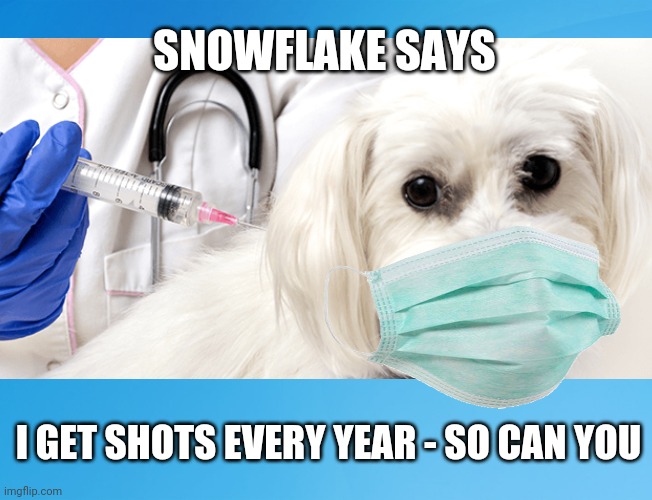 Snowflake Says | SNOWFLAKE SAYS; I GET SHOTS EVERY YEAR - SO CAN YOU | image tagged in snowflake,ted cruz,vaccines,funny,dogs,covid 19 | made w/ Imgflip meme maker