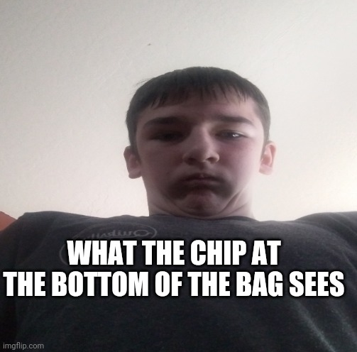 this is a chips worst nightmare | WHAT THE CHIP AT THE BOTTOM OF THE BAG SEES | image tagged in chips | made w/ Imgflip meme maker