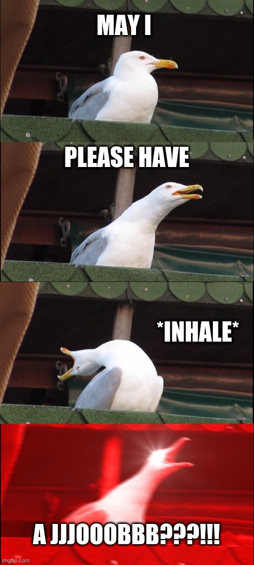 Inhaling Seagull Meme | MAY I; PLEASE HAVE; *INHALE*; A JJJOOOBBB???!!! | image tagged in memes,inhaling seagull | made w/ Imgflip meme maker