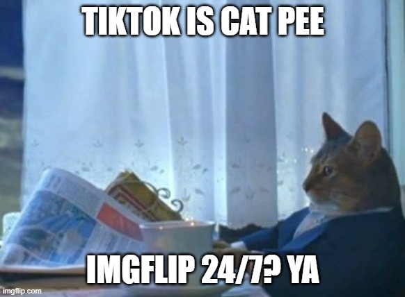 cat pee | TIKTOK IS CAT PEE; IMGFLIP 24/7? YA | image tagged in memes,i should buy a boat cat,cats,funny,pee | made w/ Imgflip meme maker