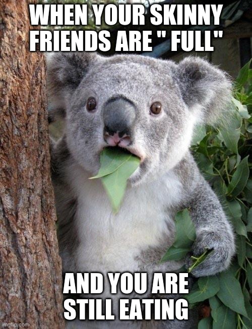 friends | WHEN YOUR SKINNY FRIENDS ARE " FULL"; AND YOU ARE STILL EATING | image tagged in suprised koala,koala,friends | made w/ Imgflip meme maker