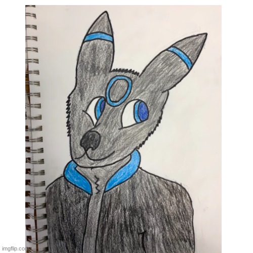 Made My Favorite Pokemon (Umbreon) Into A Furry | image tagged in pokemon,furries | made w/ Imgflip meme maker