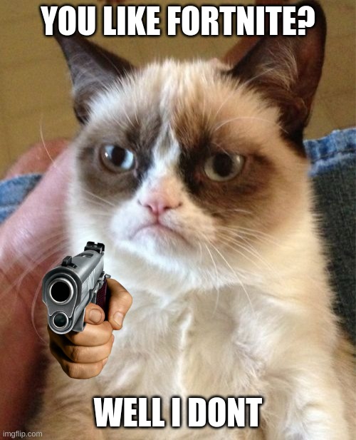 Grumpy Cat | YOU LIKE FORTNITE? WELL I DONT | image tagged in memes,grumpy cat | made w/ Imgflip meme maker