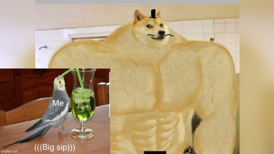 Couldn't put this in fun so yeah | image tagged in doge,unsee juice | made w/ Imgflip meme maker