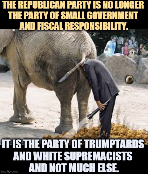 This is not your father's GOP. | THE REPUBLICAN PARTY IS NO LONGER 
THE PARTY OF SMALL GOVERNMENT 
AND FISCAL RESPONSIBILITY. IT IS THE PARTY OF TRUMPTARDS 
AND WHITE SUPREMACISTS 
AND NOT MUCH ELSE. | image tagged in gop,republican party,lost in space,elephant,flashlight | made w/ Imgflip meme maker
