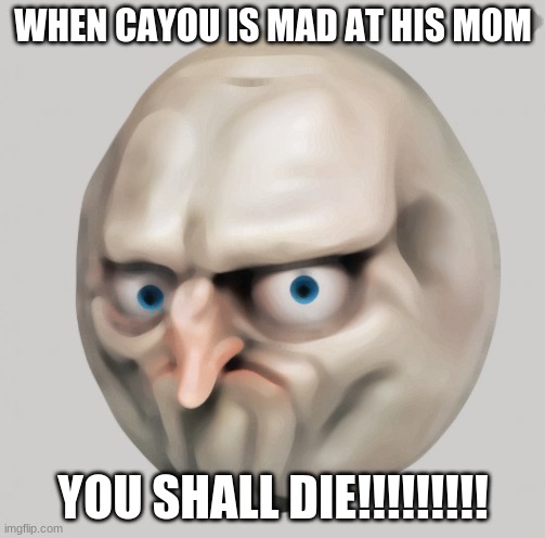 cayou anngry | WHEN CAYOU IS MAD AT HIS MOM; YOU SHALL DIE!!!!!!!!! | image tagged in 2020 sucks | made w/ Imgflip meme maker