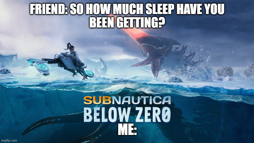 Below 0 | FRIEND: SO HOW MUCH SLEEP HAVE YOU
BEEN GETTING? ME: | image tagged in sleep,subnautica | made w/ Imgflip meme maker