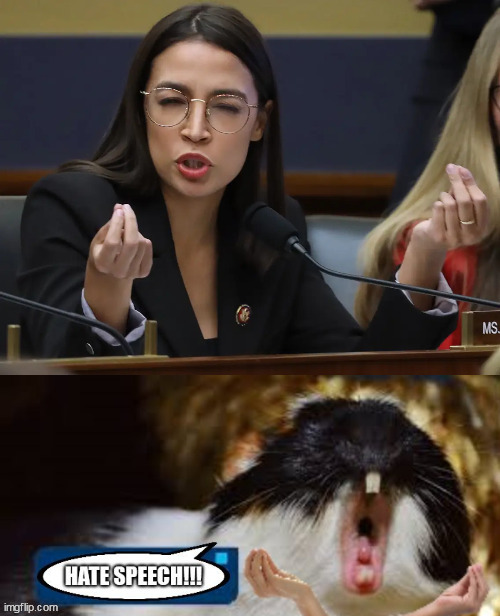 image tagged in aoc,hate speech | made w/ Imgflip meme maker