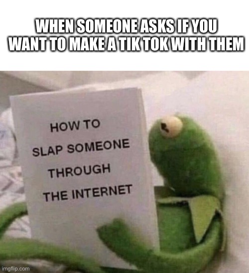 Kermit How to slap someone through the internet |  WHEN SOMEONE ASKS IF YOU WANT TO MAKE A TIK TOK WITH THEM | image tagged in kermit how to slap someone through the internet | made w/ Imgflip meme maker