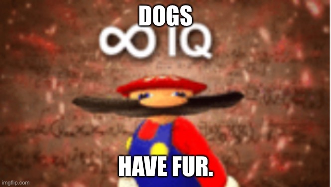 Infinite IQ | DOGS; HAVE FUR. | image tagged in infinite iq | made w/ Imgflip meme maker