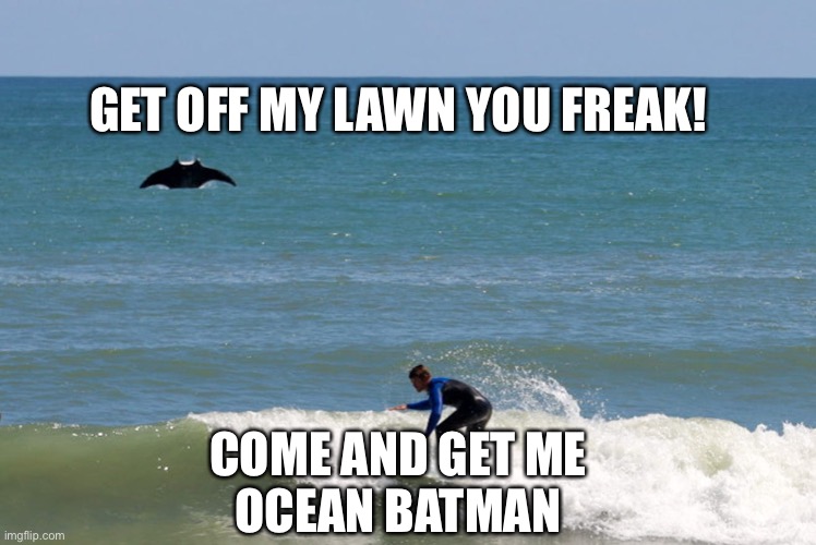 Manta ray |  GET OFF MY LAWN YOU FREAK! COME AND GET ME
OCEAN BATMAN | image tagged in ocean,batman | made w/ Imgflip meme maker