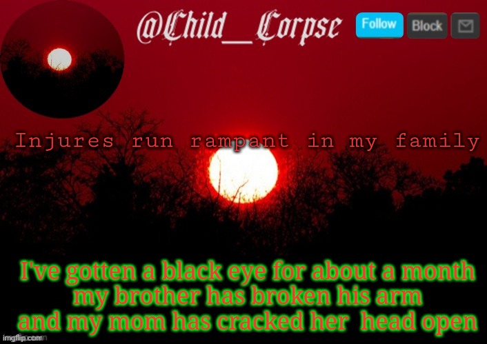 T | Injures run rampant in my family; I've gotten a black eye for about a month 
my brother has broken his arm 
and my mom has cracked her  head open | image tagged in t | made w/ Imgflip meme maker