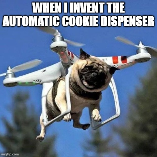 Yes | WHEN I INVENT THE AUTOMATIC COOKIE DISPENSER | image tagged in flying pug | made w/ Imgflip meme maker