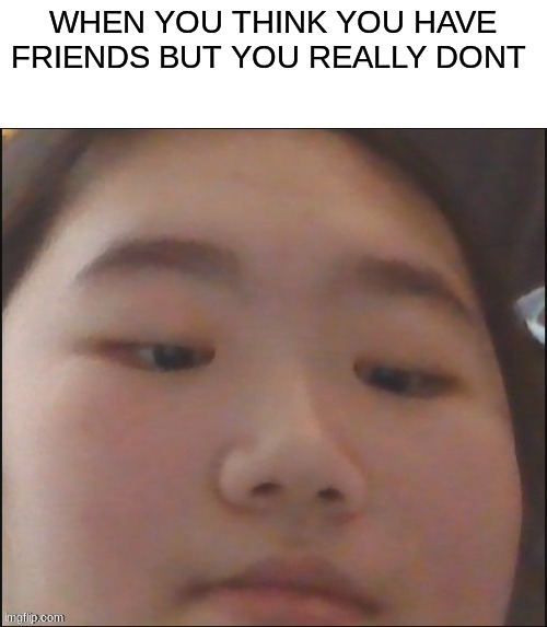 lol im sorry | WHEN YOU THINK YOU HAVE FRIENDS BUT YOU REALLY DONT | image tagged in lol | made w/ Imgflip meme maker