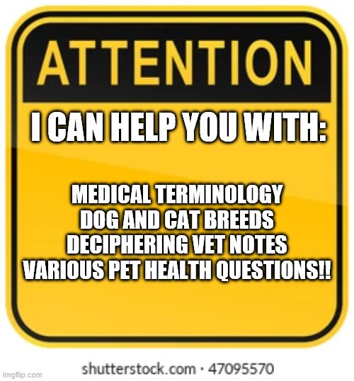 I CAN HELP YOU WITH:; MEDICAL TERMINOLOGY
DOG AND CAT BREEDS
DECIPHERING VET NOTES
VARIOUS PET HEALTH QUESTIONS!! | made w/ Imgflip meme maker