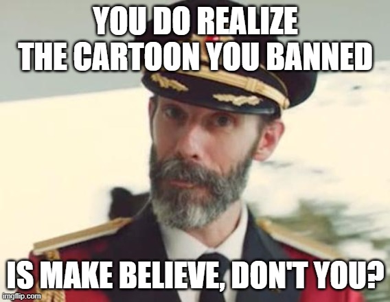 Banned Cartoon | YOU DO REALIZE THE CARTOON YOU BANNED; IS MAKE BELIEVE, DON'T YOU? | image tagged in captain obvious,banned,cartoon,make believe,cancelled | made w/ Imgflip meme maker