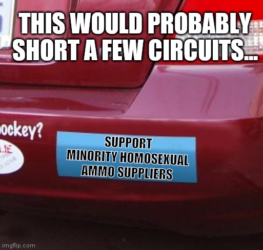 Would this cause Democrats to implode? | THIS WOULD PROBABLY SHORT A FEW CIRCUITS... SUPPORT MINORITY HOMOSEXUAL AMMO SUPPLIERS | image tagged in bumper sticker,support,minorities | made w/ Imgflip meme maker