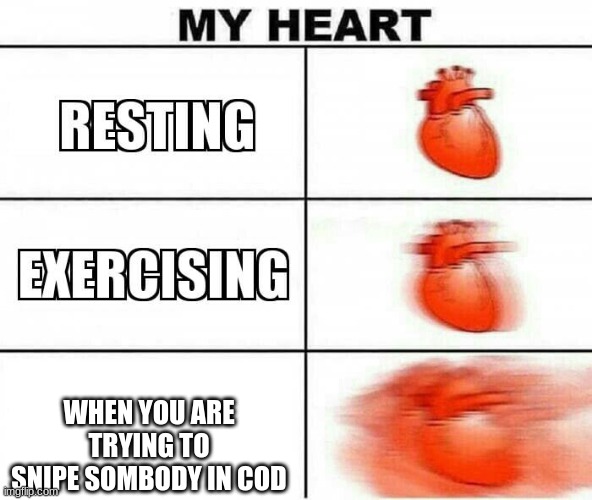 MY HEART | WHEN YOU ARE TRYING TO SNIPE SOMBODY IN COD | image tagged in my heart | made w/ Imgflip meme maker