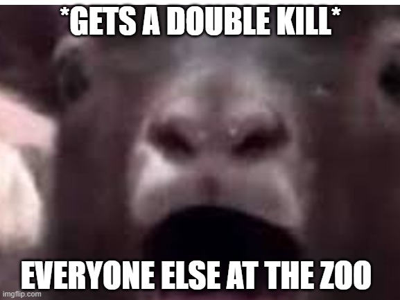 zoo goat | *GETS A DOUBLE KILL*; EVERYONE ELSE AT THE ZOO | image tagged in goat,screaming | made w/ Imgflip meme maker