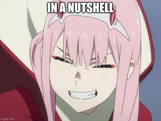 Smiling Zero-Two | IN A NUTSHELL | image tagged in smiling zero-two | made w/ Imgflip meme maker