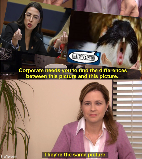 image tagged in aoc,they're the same picture | made w/ Imgflip meme maker