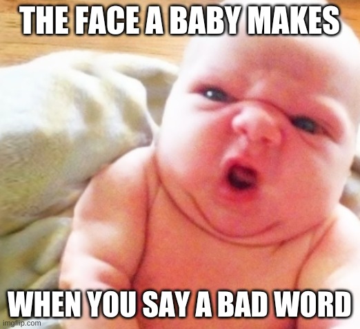 BABY | THE FACE A BABY MAKES; WHEN YOU SAY A BAD WORD | image tagged in baby | made w/ Imgflip meme maker