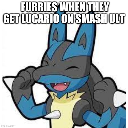 lucario is the best | FURRIES WHEN THEY GET LUCARIO ON SMASH ULT | image tagged in furry | made w/ Imgflip meme maker