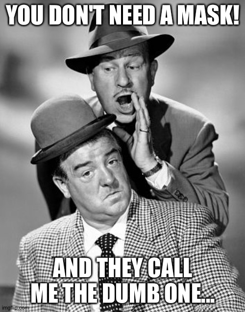 Abbott and Costello | YOU DON'T NEED A MASK! AND THEY CALL ME THE DUMB ONE... | image tagged in abbott and costello | made w/ Imgflip meme maker