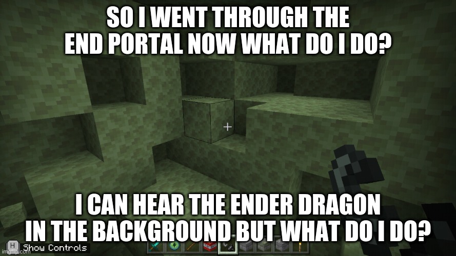 help | SO I WENT THROUGH THE END PORTAL NOW WHAT DO I DO? I CAN HEAR THE ENDER DRAGON IN THE BACKGROUND BUT WHAT DO I DO? | image tagged in minecraft | made w/ Imgflip meme maker