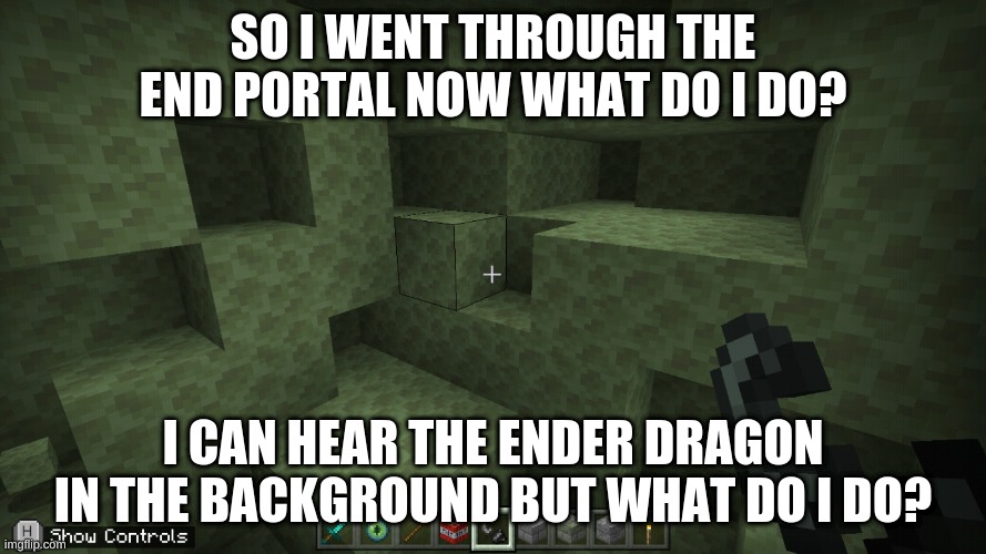 help |  SO I WENT THROUGH THE END PORTAL NOW WHAT DO I DO? I CAN HEAR THE ENDER DRAGON IN THE BACKGROUND BUT WHAT DO I DO? | made w/ Imgflip meme maker