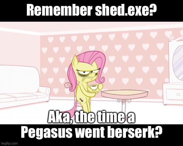 Fluttershy | Remember shed.exe? Aka, the time a Pegasus went berserk? | image tagged in fluttershy | made w/ Imgflip meme maker